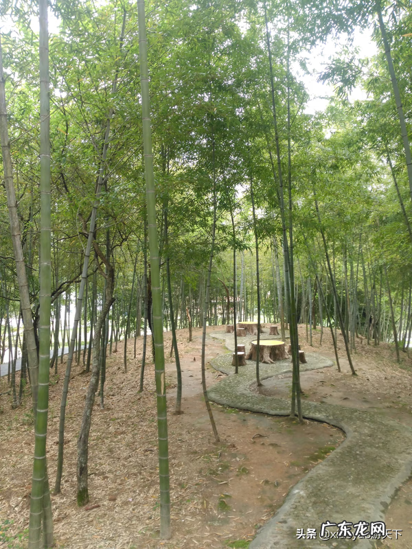 三僚村出名的风水师 三寮村的风水术主要在