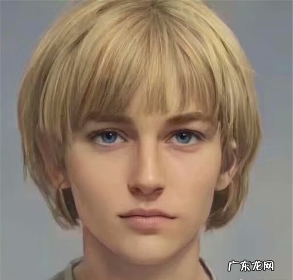 调查兵团团长 调查军团团长