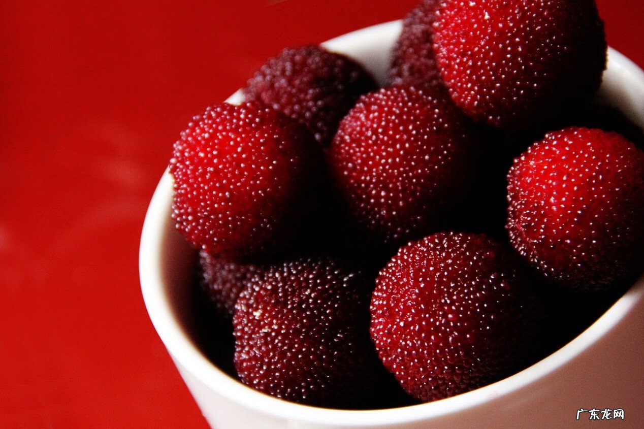 杨梅上火吗 杨梅能上火吗