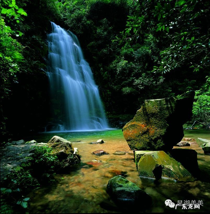 肇庆新区风水 肇庆 风水