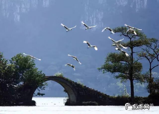 肇庆新区风水 肇庆 风水