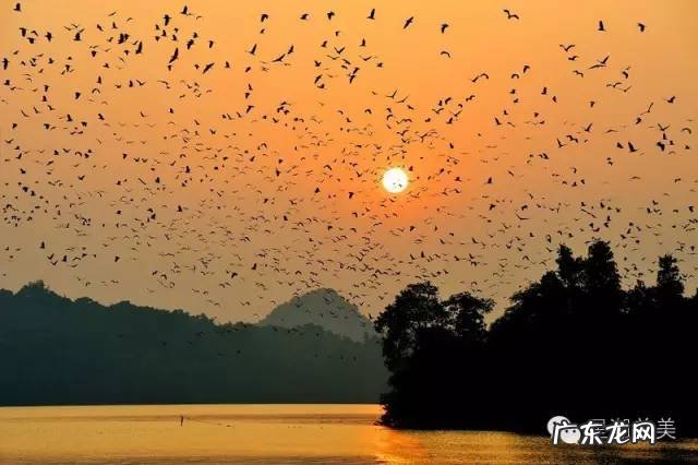 肇庆新区风水 肇庆 风水
