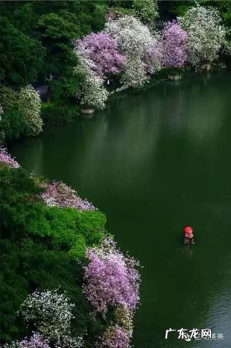 肇庆新区风水 肇庆 风水