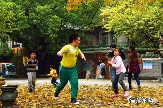 肇庆新区风水 肇庆 风水