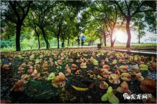 肇庆新区风水 肇庆 风水