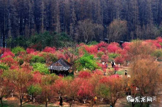 肇庆新区风水 肇庆 风水