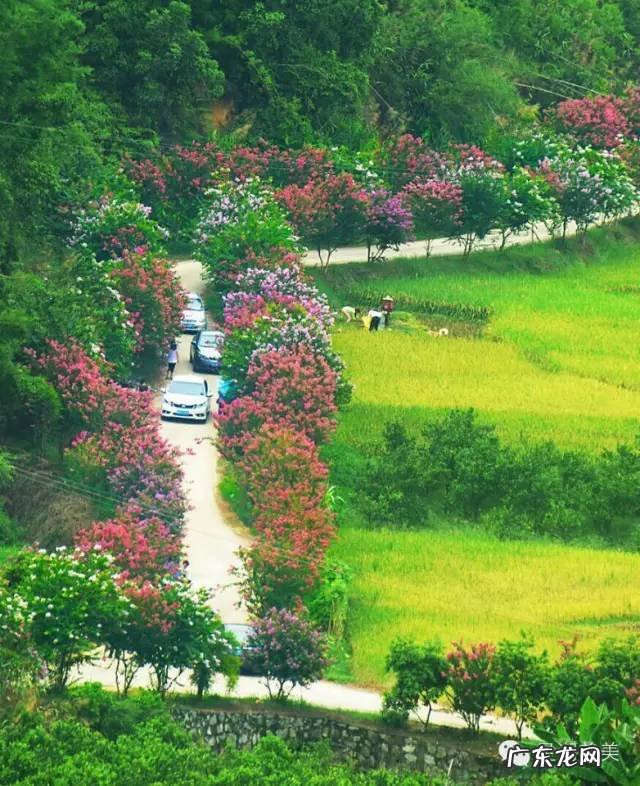 肇庆新区风水 肇庆 风水