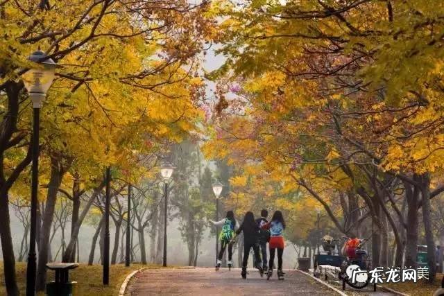 肇庆新区风水 肇庆 风水