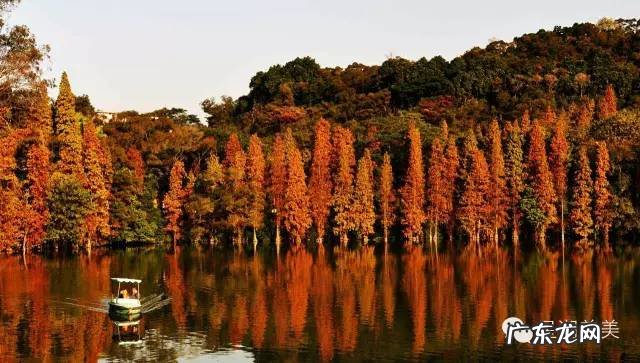肇庆新区风水 肇庆 风水
