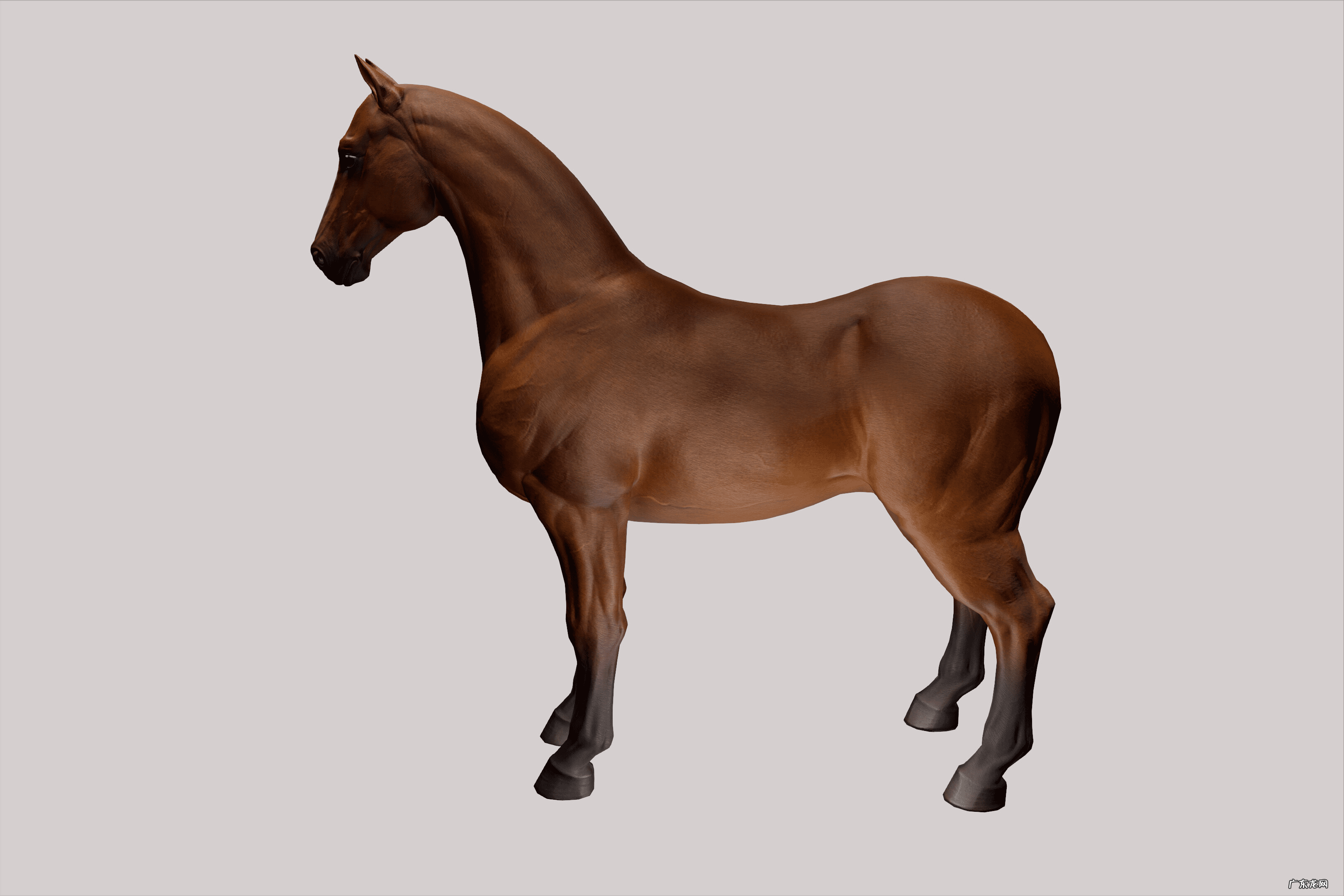 西山秘宝遗失的美好2022 西山秘宝 遗失的美好