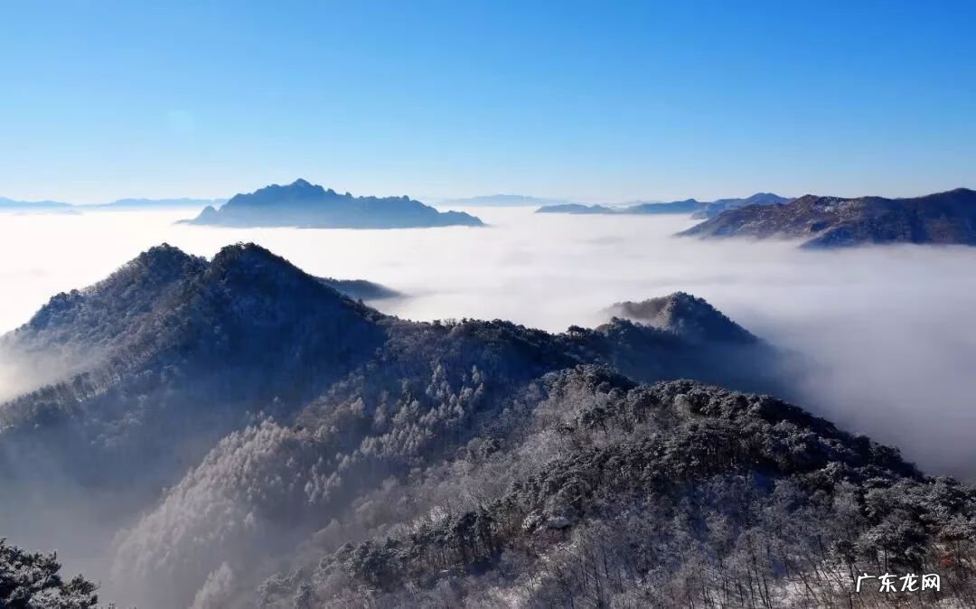 中华旗袍 宣花袍