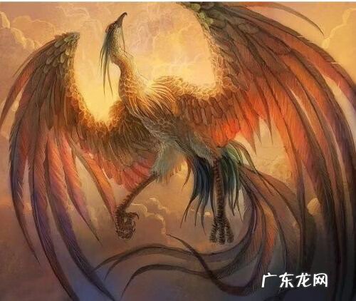 风水怎么入门看什么书 学风水基础看什么书