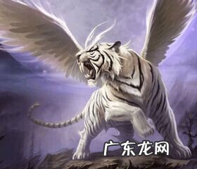 风水怎么入门看什么书 学风水基础看什么书