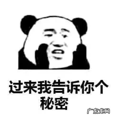 三国战记貂蝉怎么选 三国战记诸葛亮怎么选择