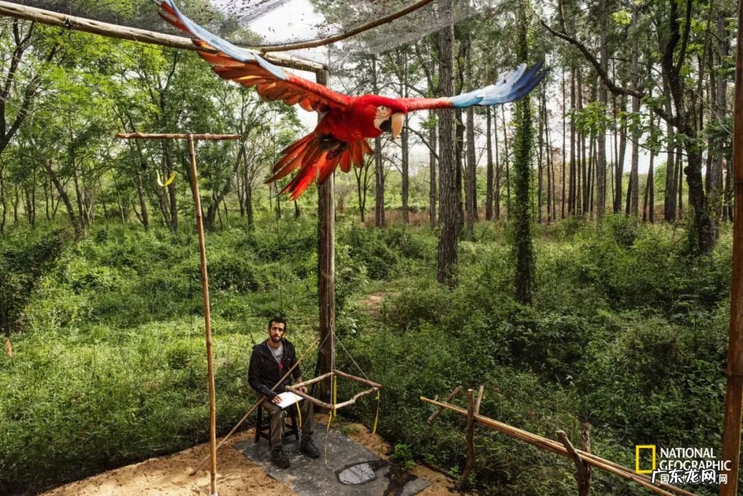 草原西猯 领西猯在哪