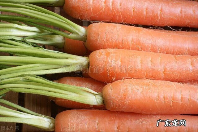 吃什么东西能排毒 吃什么可以排毒素