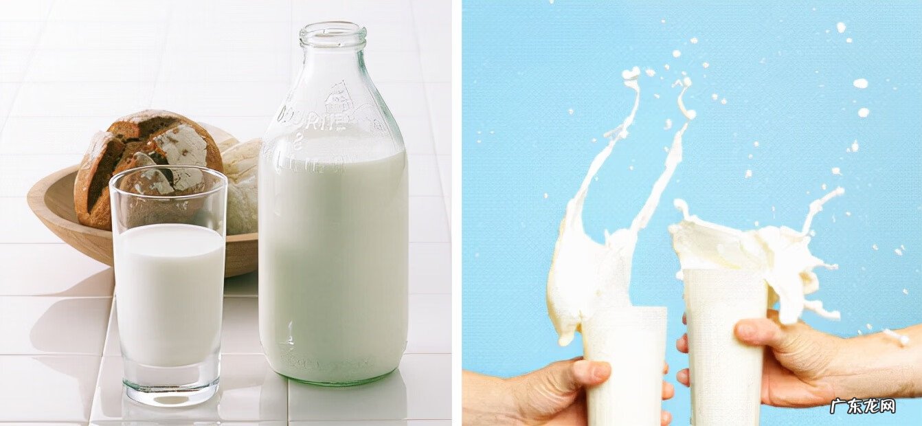 牛奶什么时候喝效果好 鲜纯牛奶什么时候喝最好