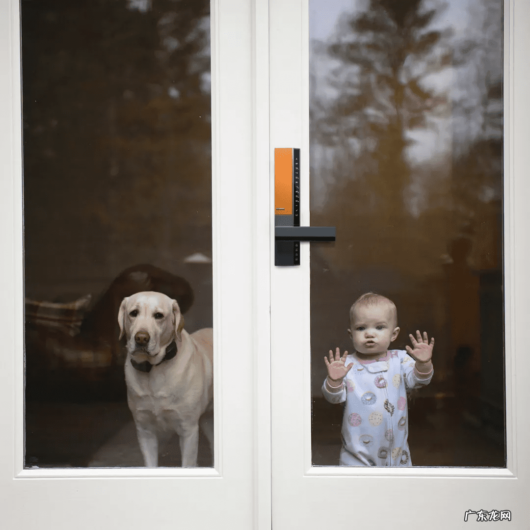 米兰花风水有讲究吗 米兰在风水上的意义