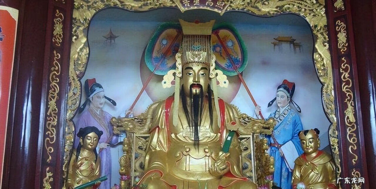 《自然》 自然之王是什么