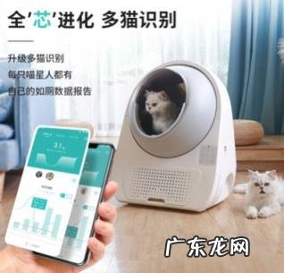 catlink猫砂盆价格 catlink猫砂盆好用吗