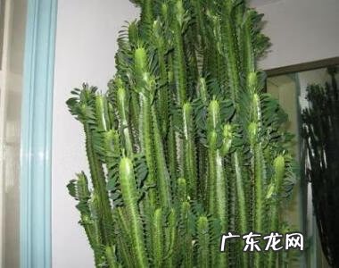 风水二十四山详解 三棱箭风水