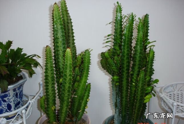 风水二十四山详解 三棱箭风水