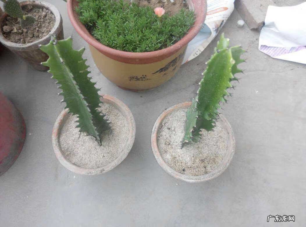 风水二十四山详解 三棱箭风水