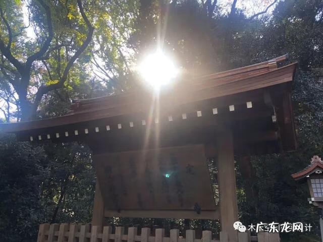 福州工业设计 福州设计师郑雅娟