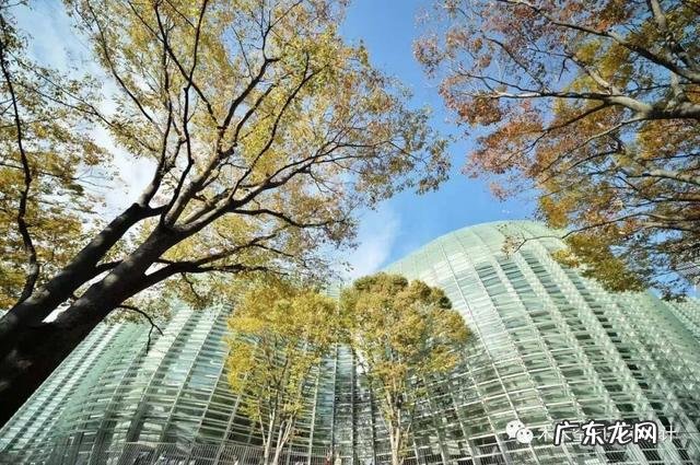 福州工业设计 福州设计师郑雅娟