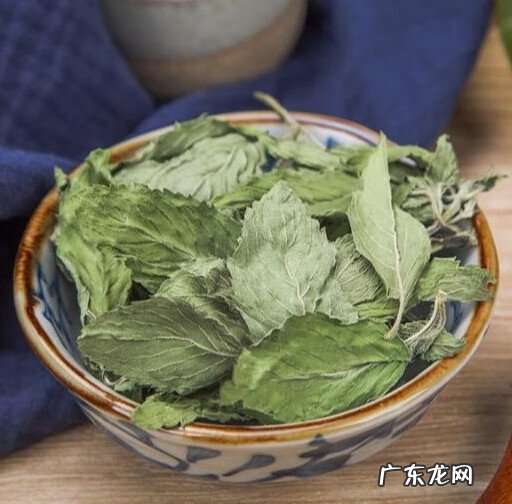 薄荷茶能天天喝吗 薄荷茶怎么泡