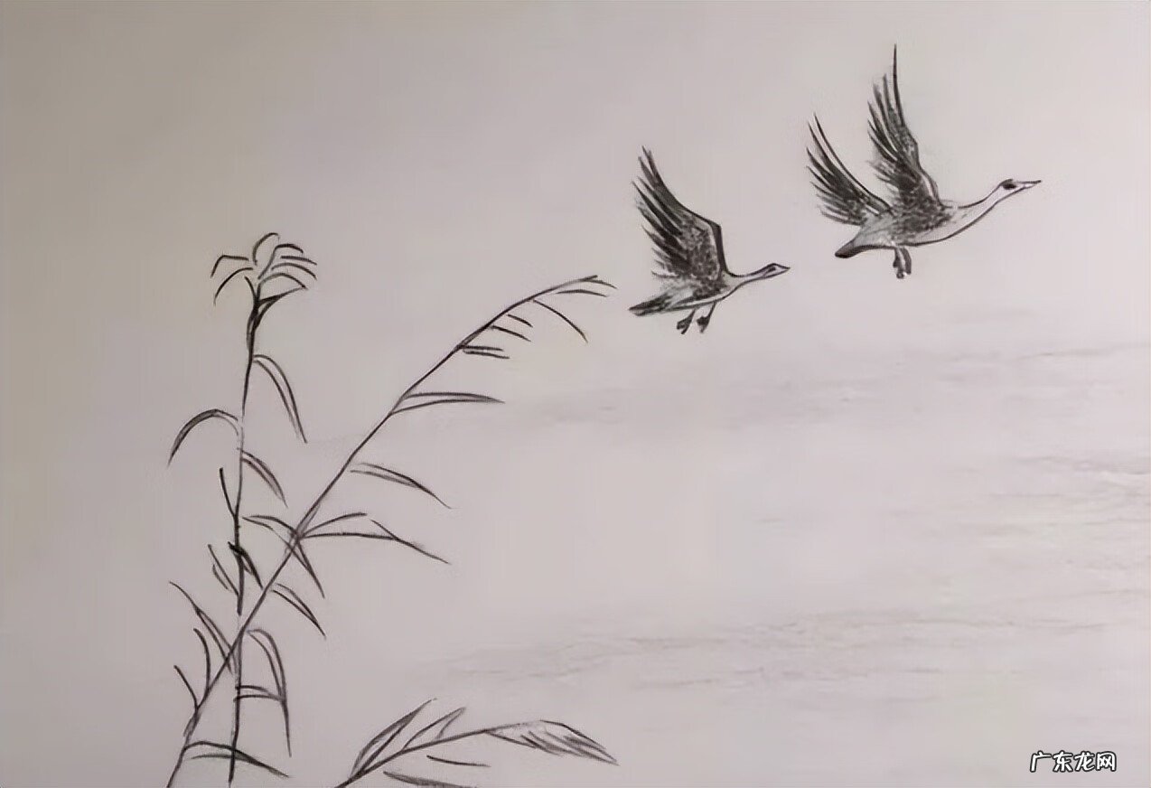 13楼和14楼哪个好 13栋14楼的风水好吗