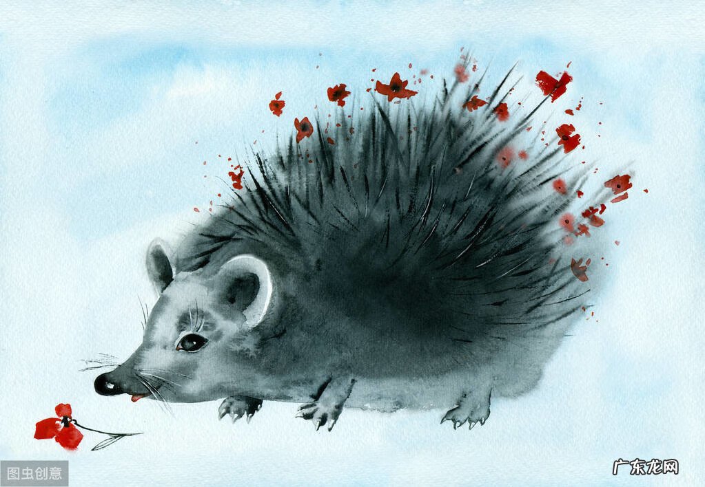 如何招桃花风水 招财的昆虫