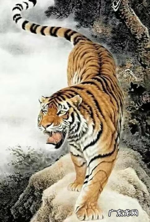 石头摆放风水 石头的风水作用