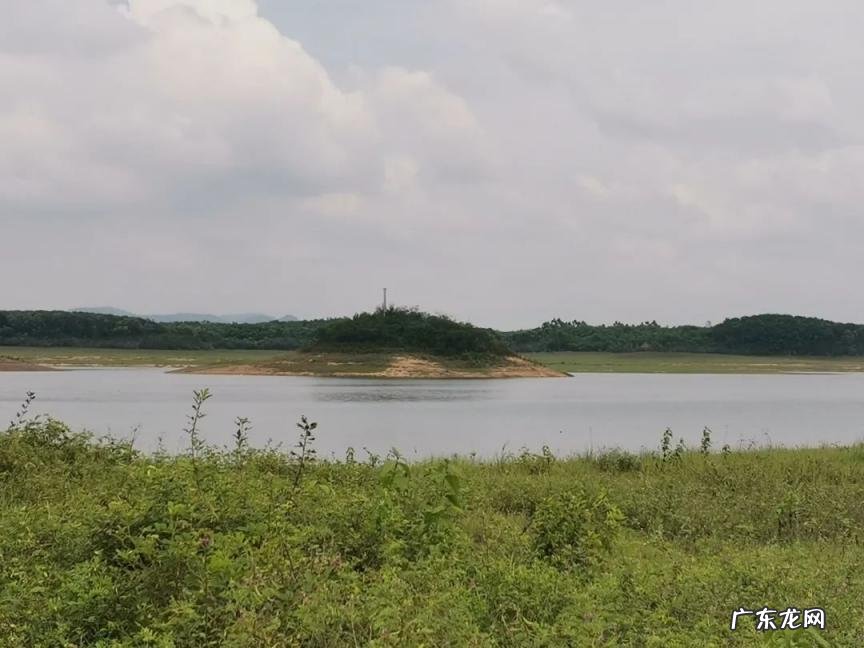 记承天寺夜游苏轼对张怀民说的话 书上元夜游文言文翻译及注释