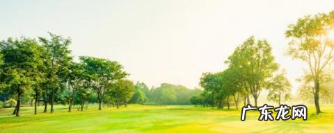 节能环保低碳生活内容简短，节能环保低碳生活内容有哪些