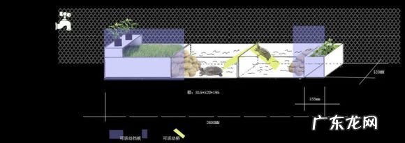 顶楼建龟池好不好 风水池可以养龟吗