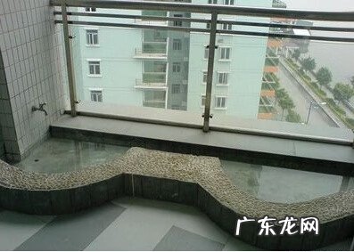 顶楼建龟池好不好 风水池可以养龟吗