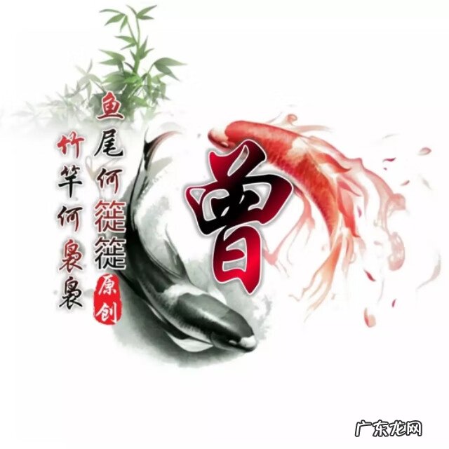 太极图当头像好不好 太极鱼风水微信头像最新版