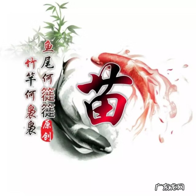 太极图当头像好不好 太极鱼风水微信头像最新版