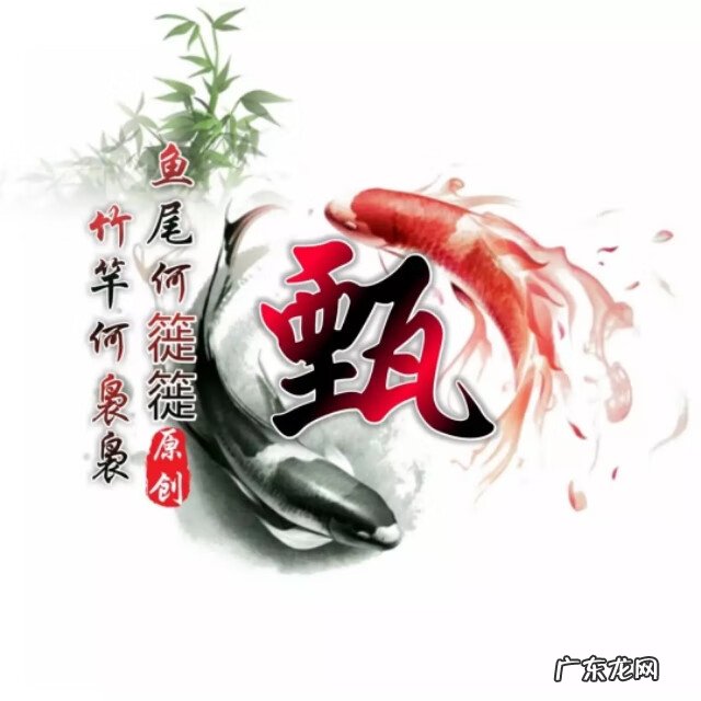 太极图当头像好不好 太极鱼风水微信头像最新版