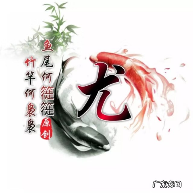 太极图当头像好不好 太极鱼风水微信头像最新版