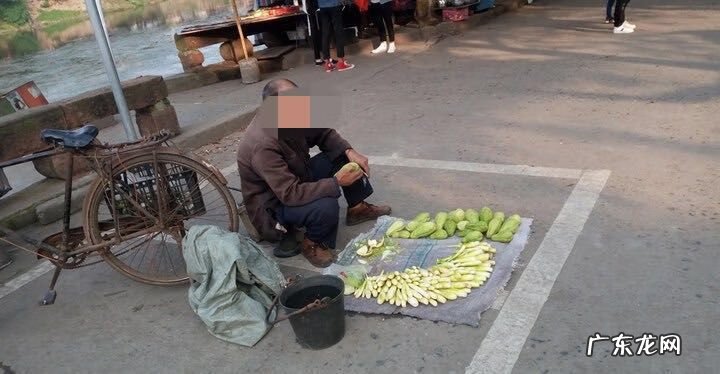 风水中的乐山是指什么 周锦伦讲风水乐山