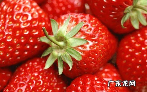 强碱性食品有哪一些