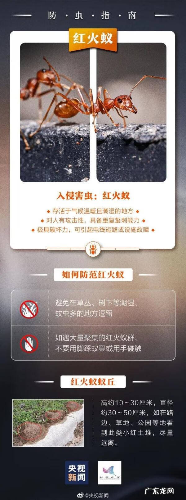 被蚊虫叮咬后红肿严重 脖子被蚊虫叮咬红肿怎么办