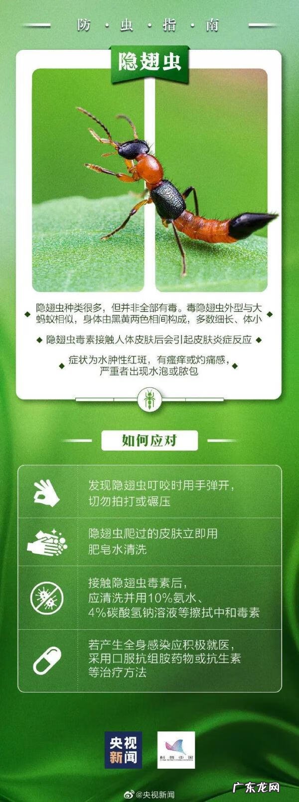 被蚊虫叮咬后红肿严重 脖子被蚊虫叮咬红肿怎么办