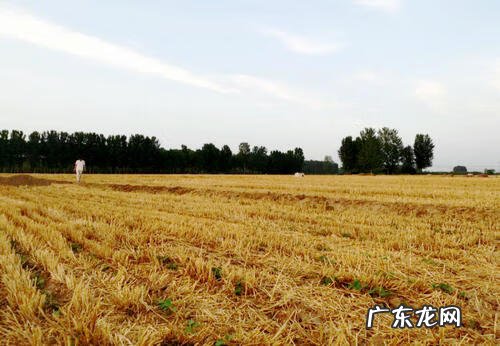 杨公风水案例丁财贵