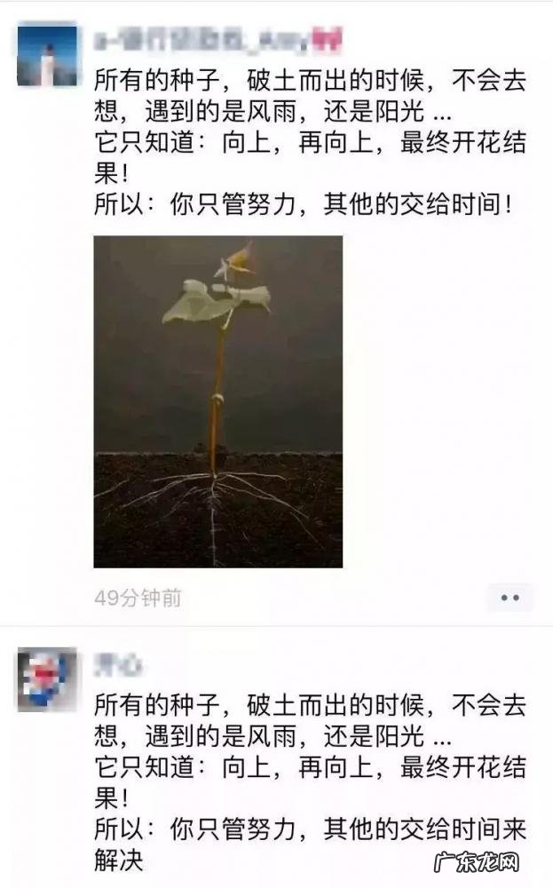 销售发圈的文案 如何发朋友圈推销产品的万能句子