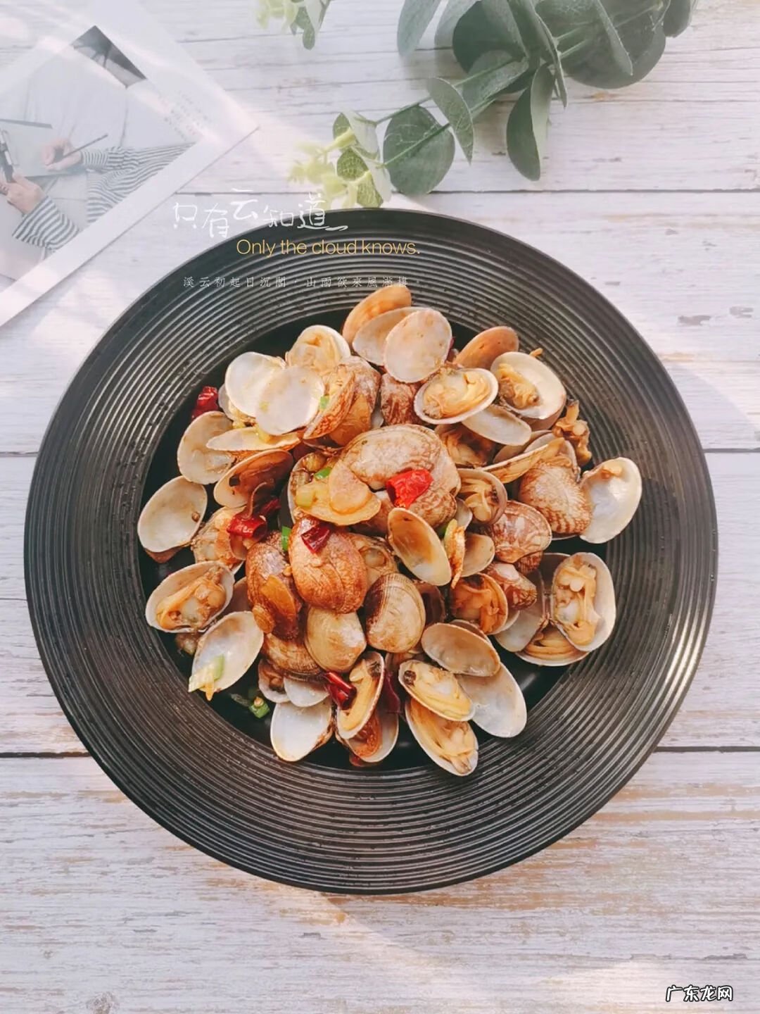 花蛤吃哪个部位 花蛤怎么炒好吃步骤如下