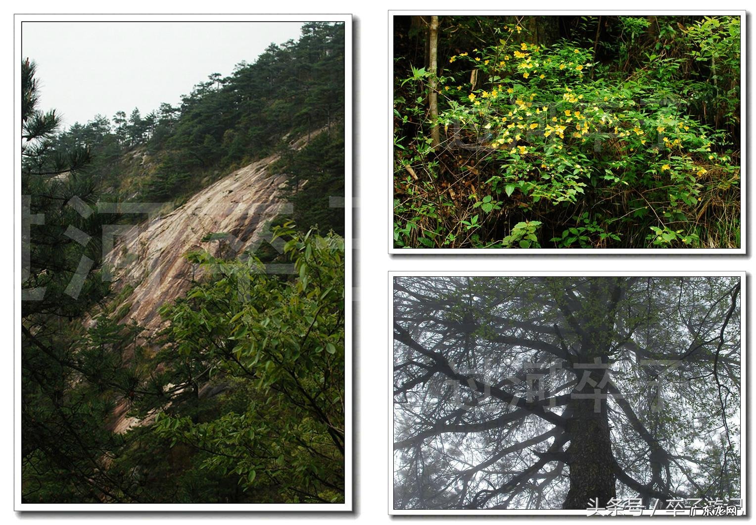 慈母的名字 风水地名字慈母抱