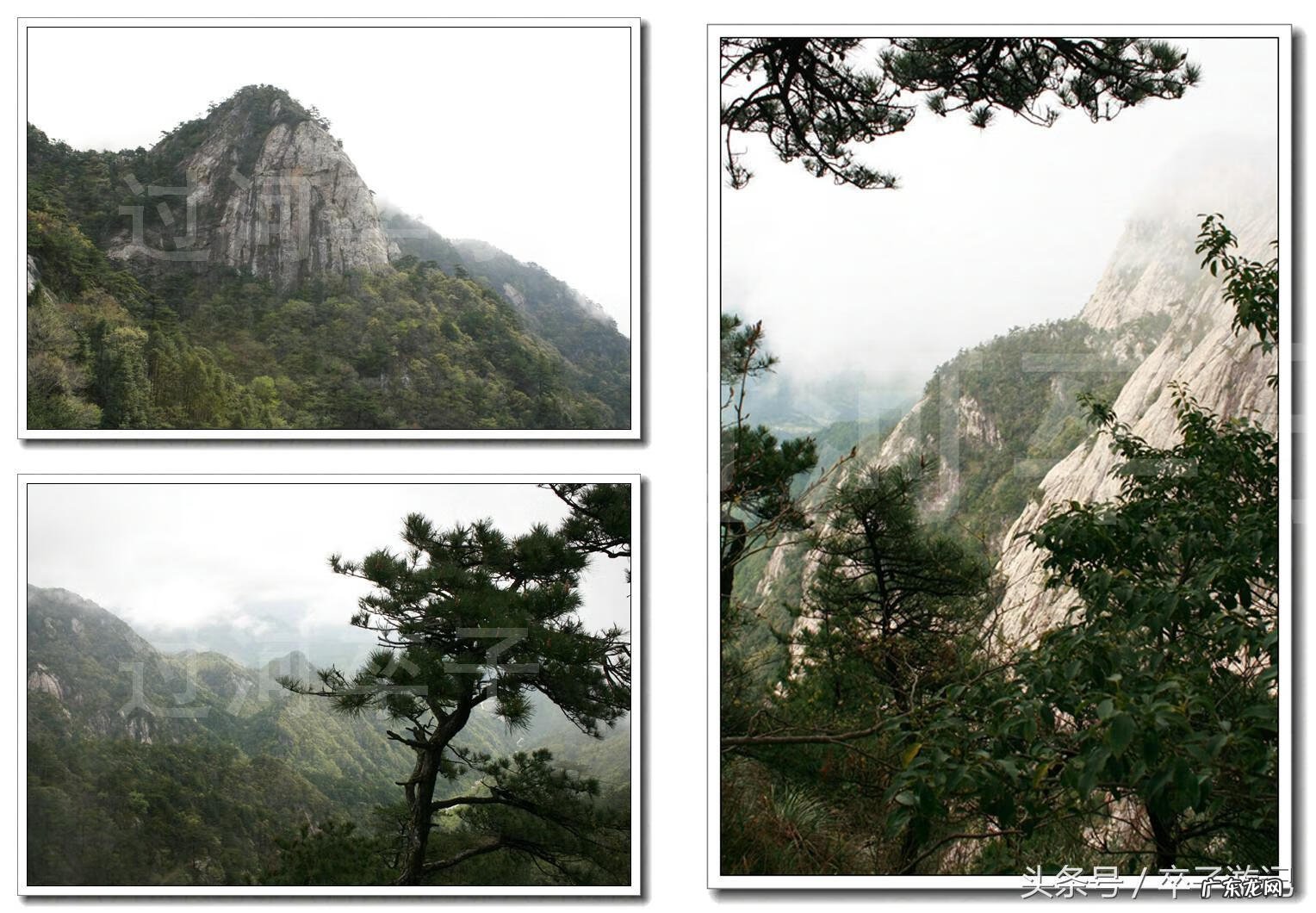 慈母的名字 风水地名字慈母抱